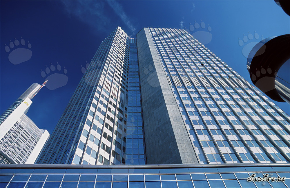 Banca Centrale Europea (BCE) - Eurotower a Francoforte sul Meno