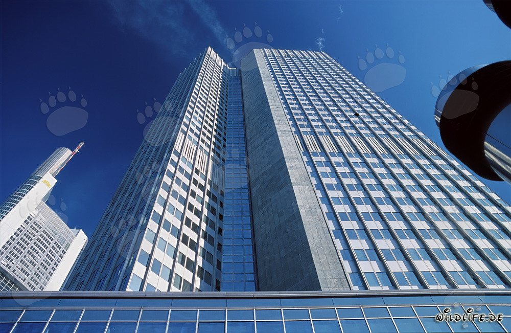 Banque centrale européenne (BCE) - Eurotower à Francfort-sur-le-Main