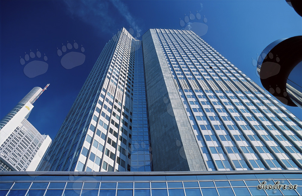 European Central Bank (ECB) - Eurotower in Frankfurt am Main