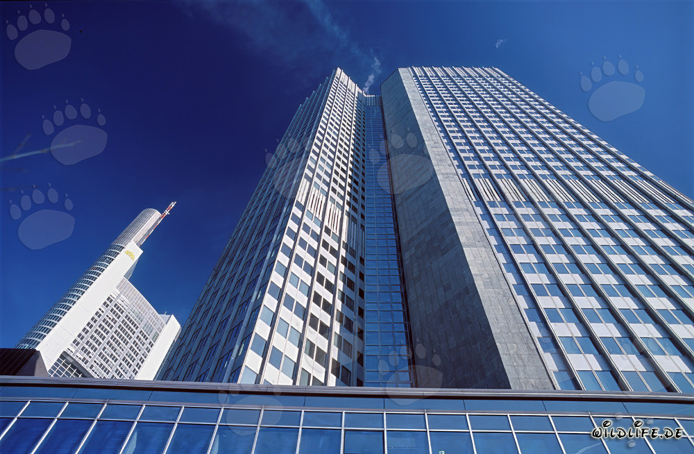 Banca Centrale Europea (BCE) - Eurotower a Francoforte sul Meno