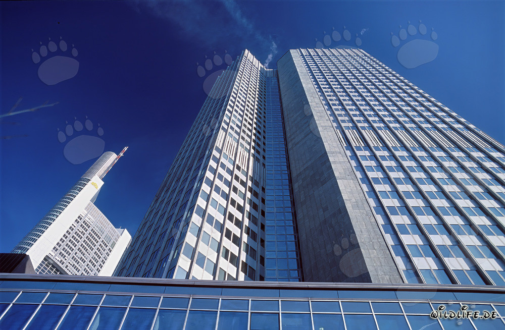 Banque centrale européenne (BCE) - Eurotower à Francfort-sur-le-Main