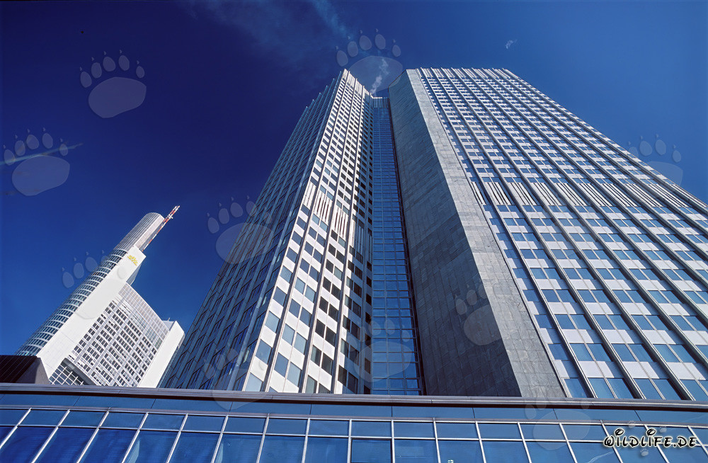 Europäische Zentralbank (EZB) - Eurotower in Frankfurt am Main