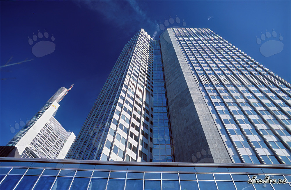 European Central Bank (ECB) - Eurotower in Frankfurt am Main