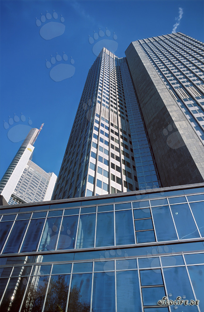 Architettura della Banca Centrale Europea (BCE) - L'imponente Eurotower a Francoforte sul Meno