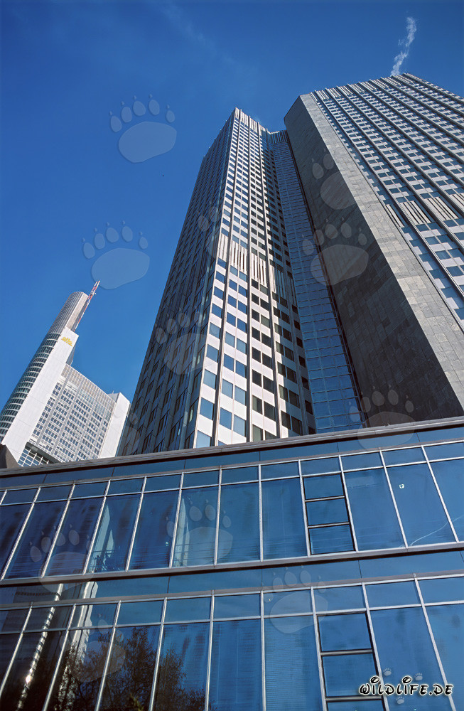 Architecture de la Banque centrale européenne (BCE) - L'imposant Eurotower à Francfort-sur-le-Main