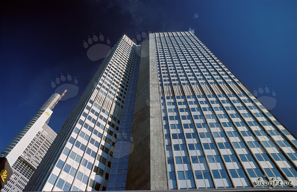 Banca Centrale Europea (BCE) - Eurotower a Francoforte sul Meno