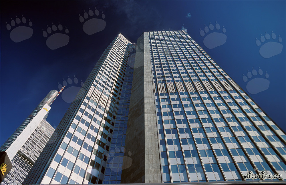 Banco Central Europeo (BCE) - Eurotower en Fráncfort del Meno