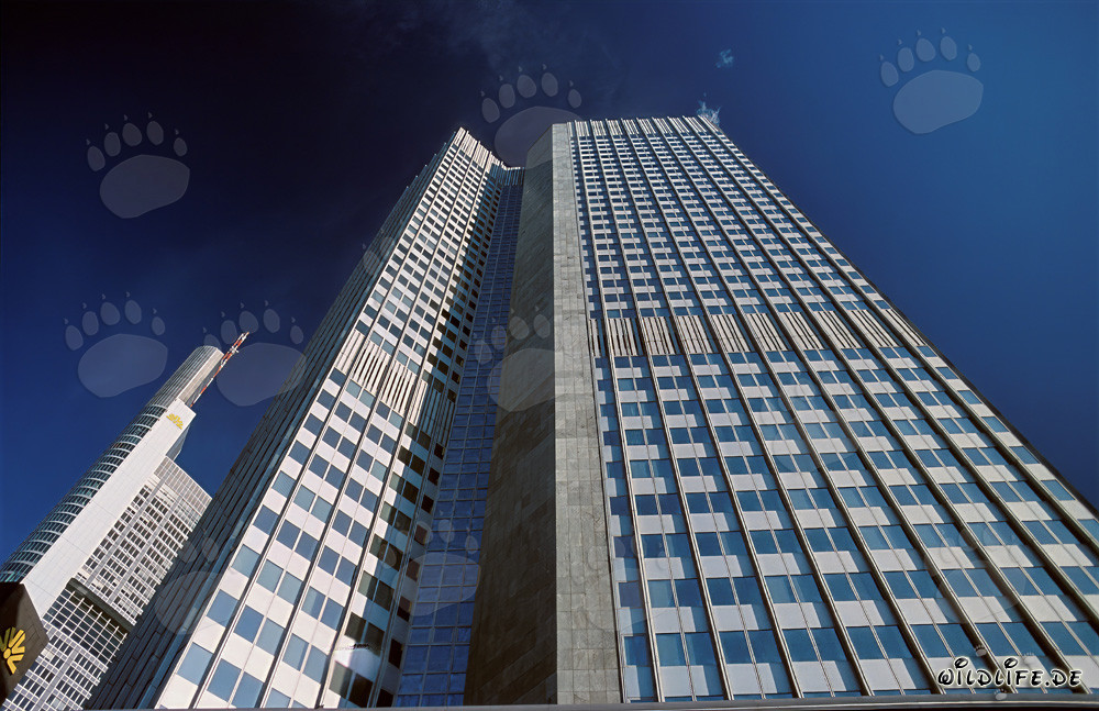 Banque centrale européenne (BCE) - Eurotower à Francfort-sur-le-Main