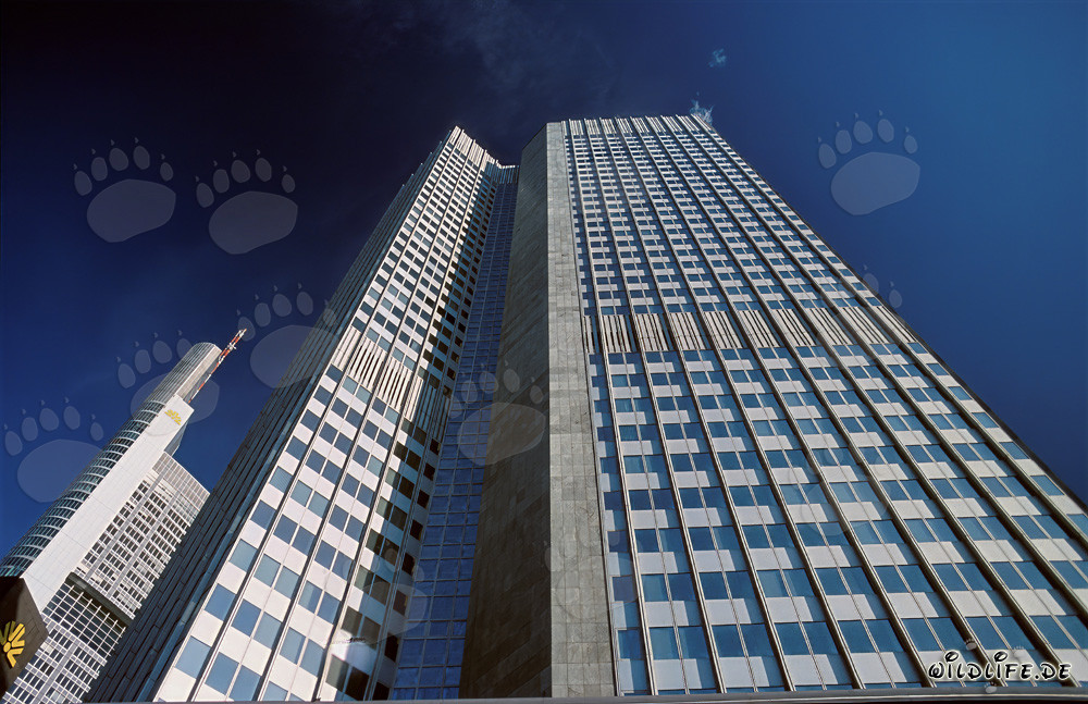 Europäische Zentralbank (EZB) - Eurotower in Frankfurt am Main