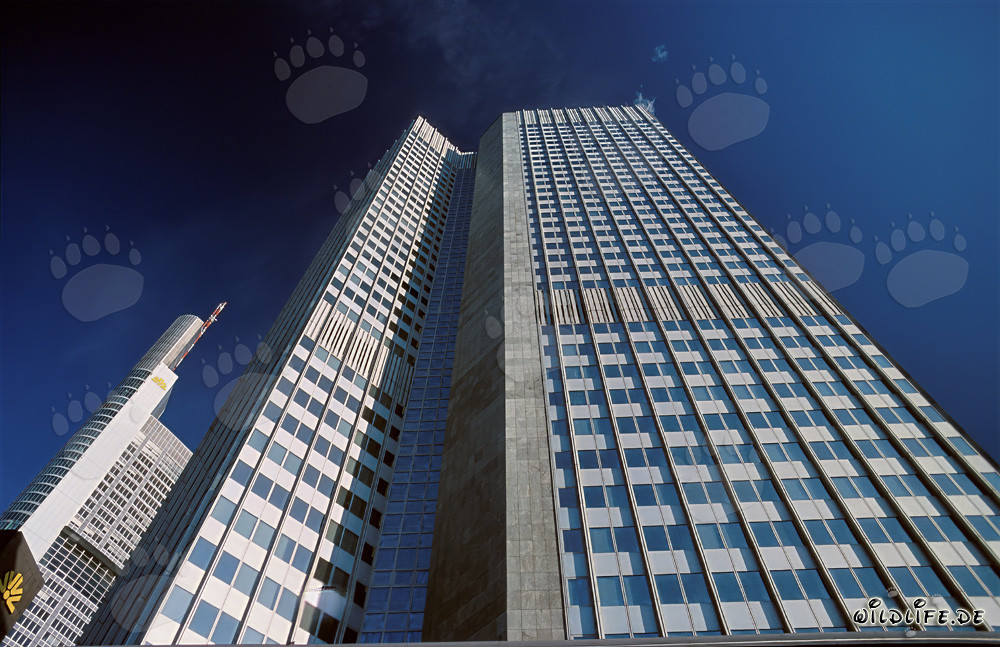 The European Central Bank - Eurotower in Frankfurt am Main