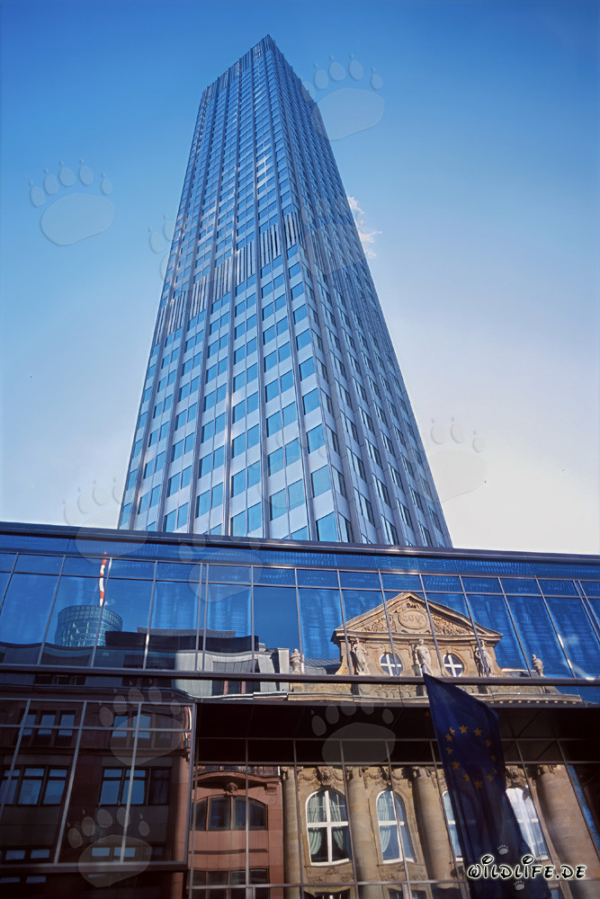Banca Centrale Europea (BCE) - Eurotower a Francoforte sul Meno