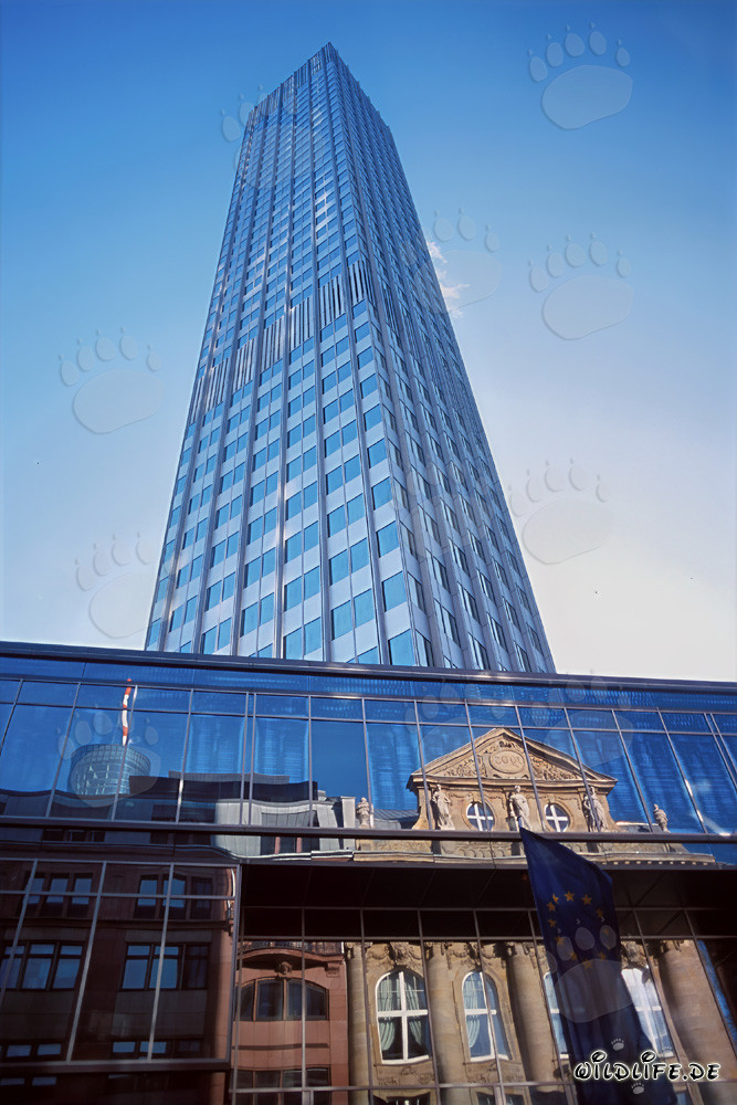 Banco Central Europeo (BCE) - Eurotower en Fráncfort del Meno