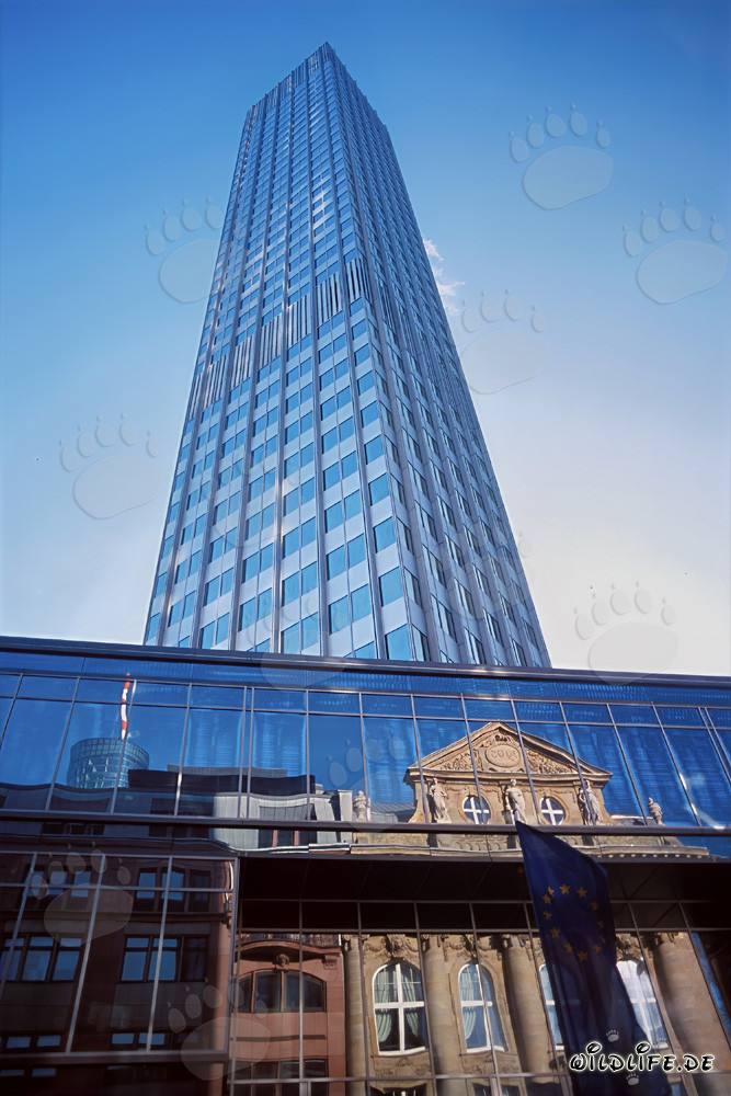 Banque centrale européenne (BCE) - Eurotower à Francfort-sur-le-Main