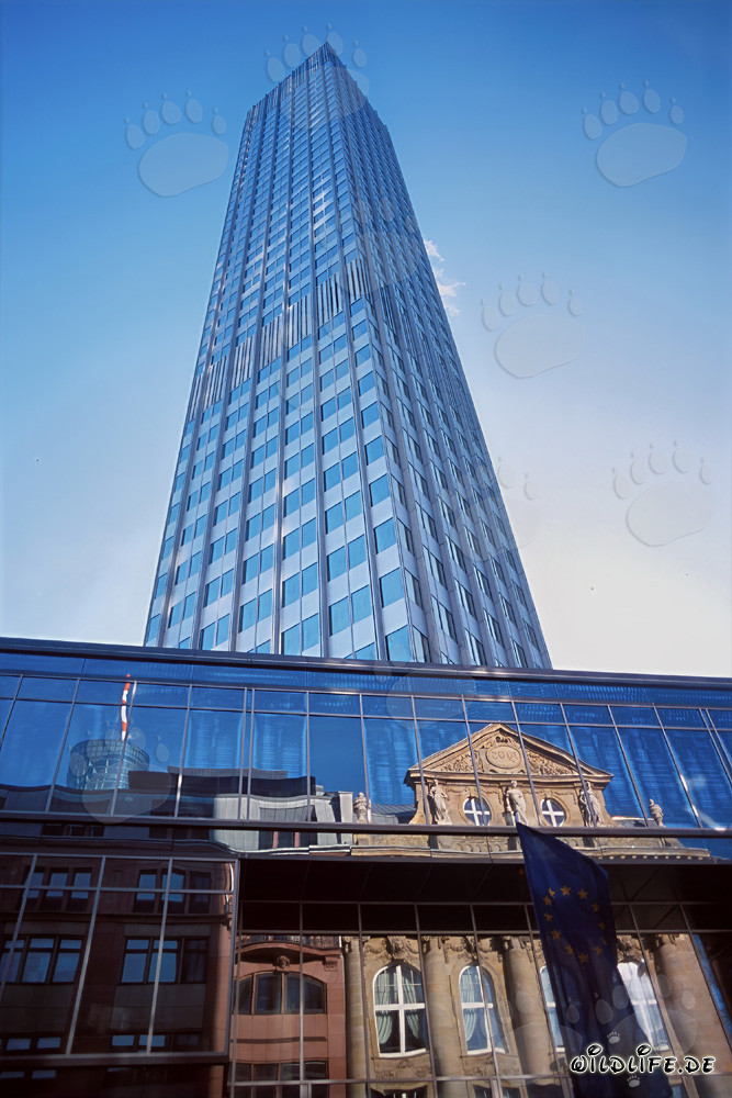 Europäische Zentralbank (EZB) - Eurotower in Frankfurt am Main