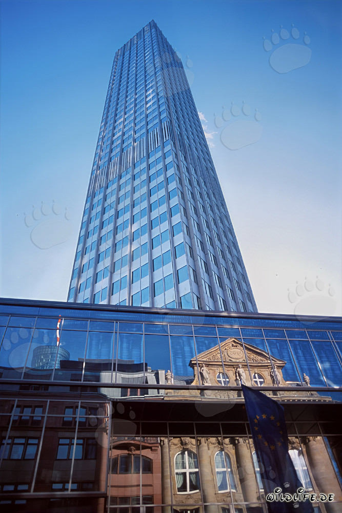 European Central Bank (ECB) - Eurotower in Frankfurt am Main