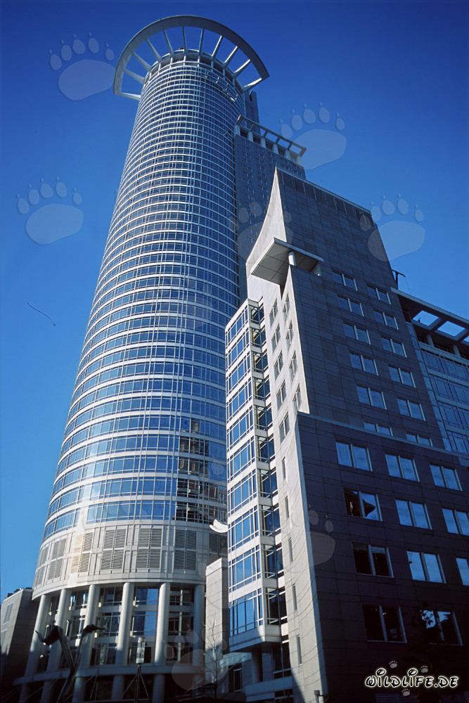 Modernes Hochhaus der DZ-Bank in Frankfurt am Main