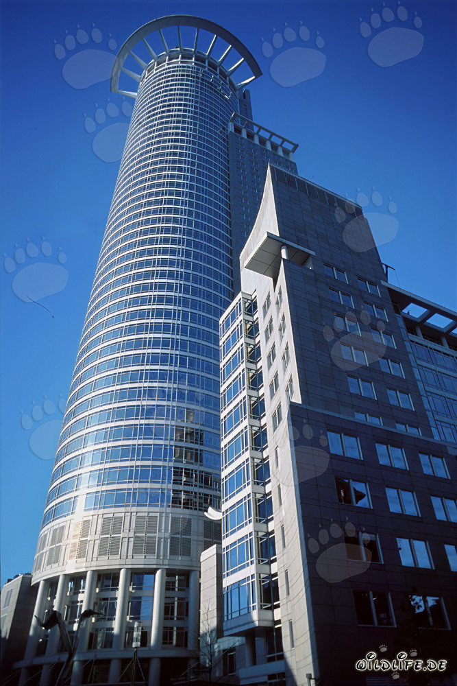 Modern skyscraper of DZ Bank in Frankfurt am Main