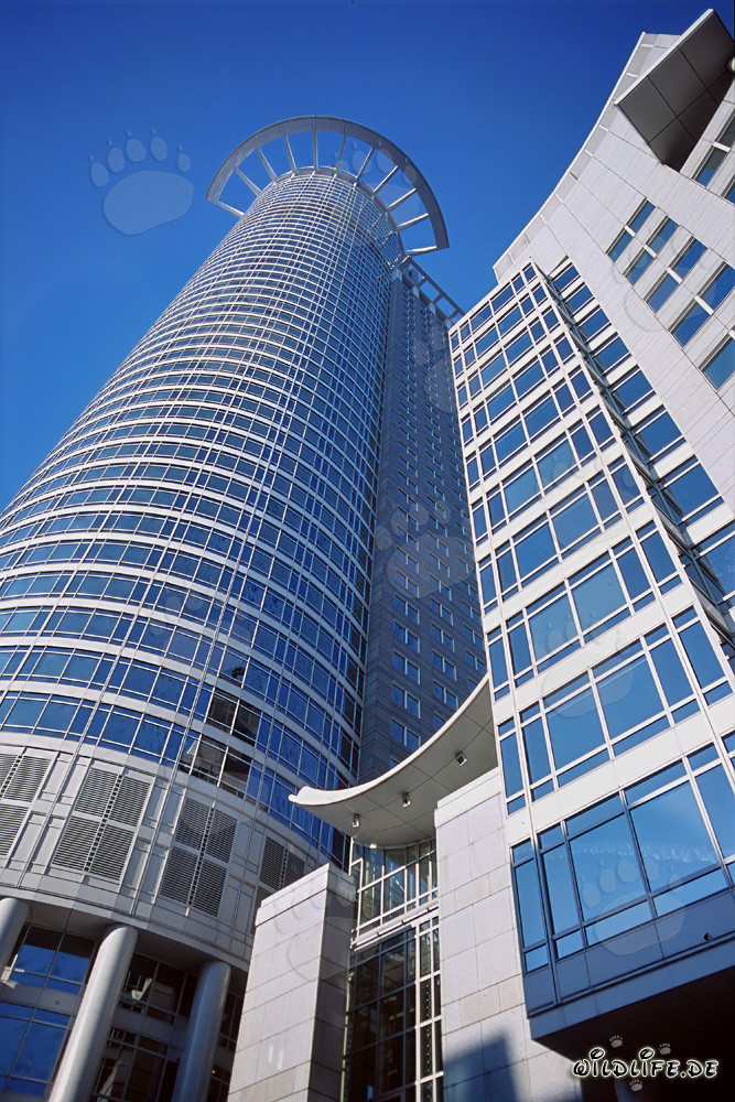 Gratte-ciel moderne de la DZ-Bank à Francfort avec couronne accessible et couronne