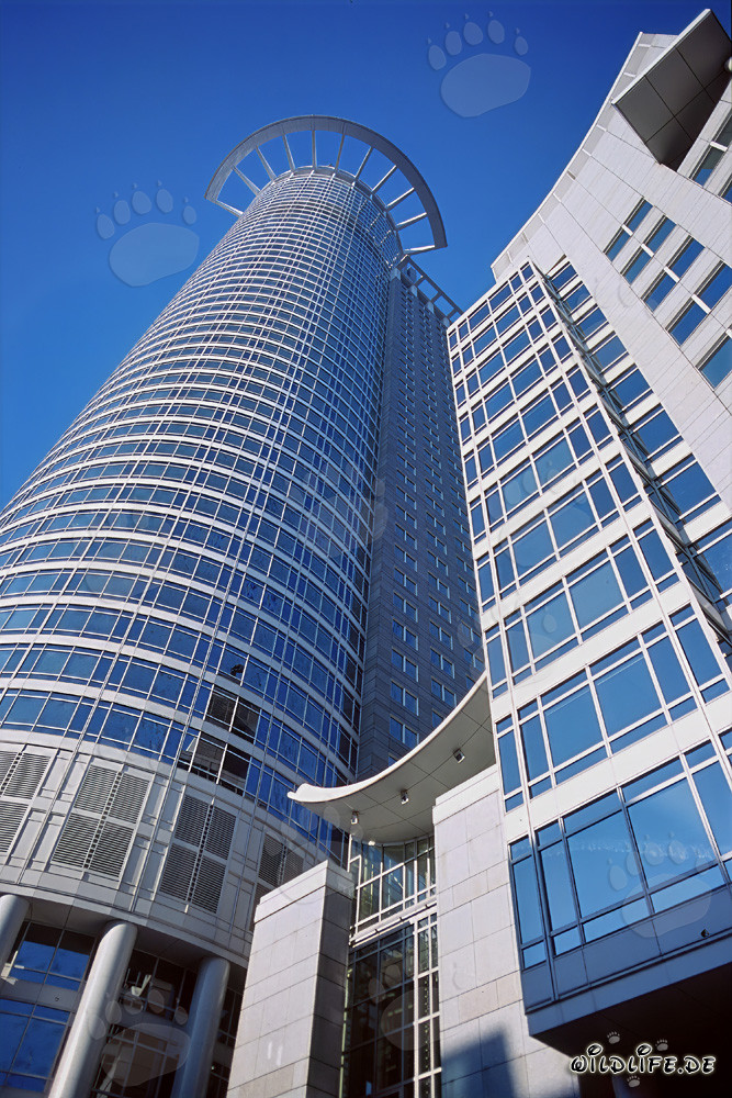 Moderno rascacielos de la DZ-Bank en Frankfurt con corona transitable y corona