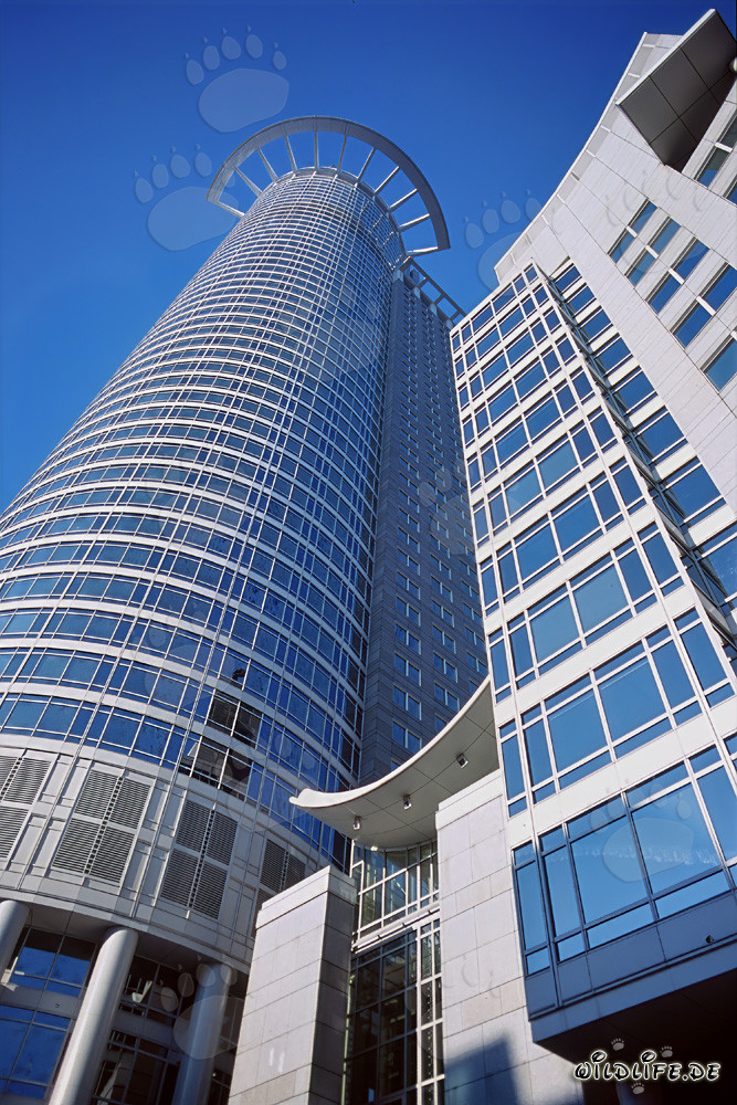 Modern skyscraper of DZ Bank in Frankfurt with rays crown and walkable crown