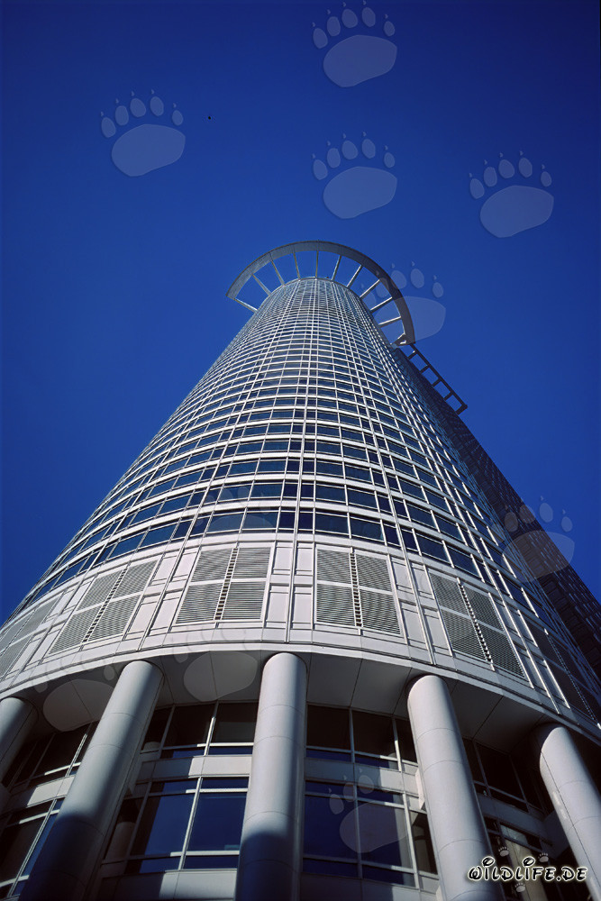 Modern Architecture: The Impressive Skyscraper of DZ-Bank in Frankfurt
