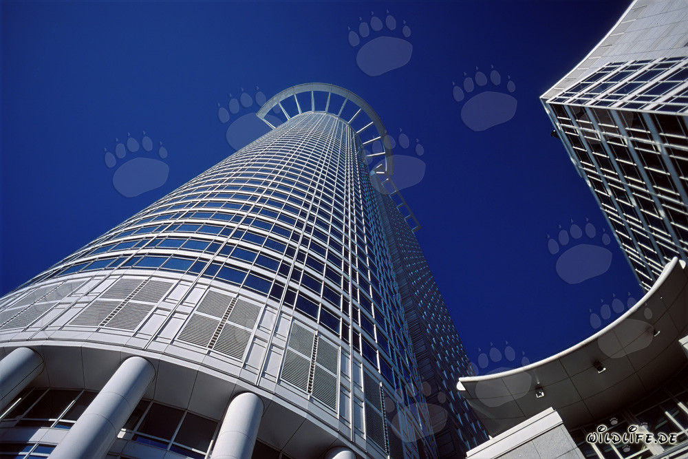 Architectural Masterpiece: The Impressive DZ-Bank Skyscraper in Frankfurt