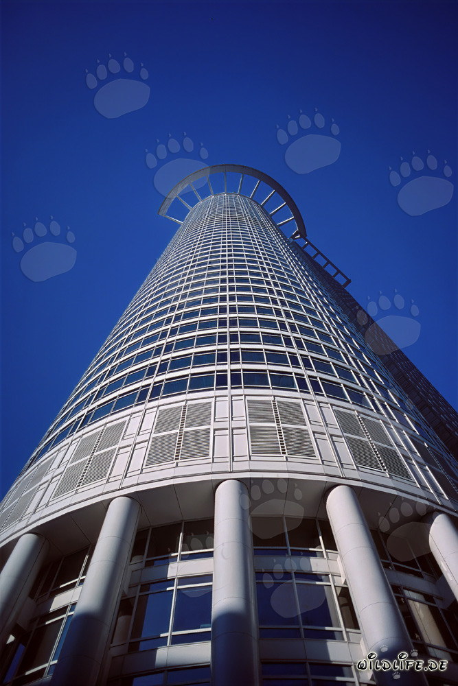 Chef-d'œuvre architectural : l'imposant gratte-ciel de la DZ-Bank à Francfort