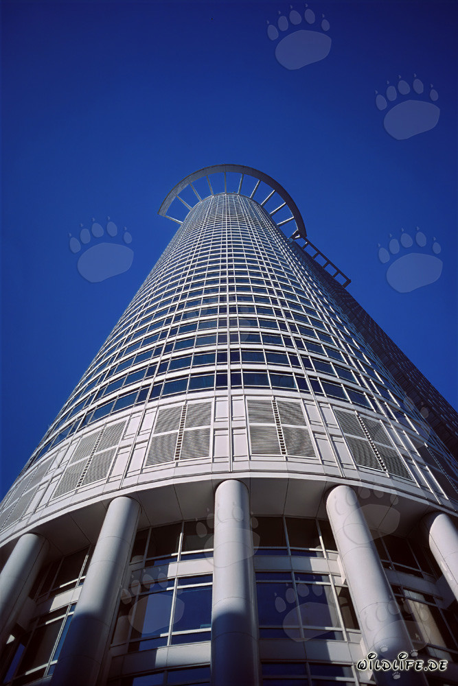 Architektonisches Meisterwerk: Das imposante Hochhaus der DZ-Bank in Frankfurt