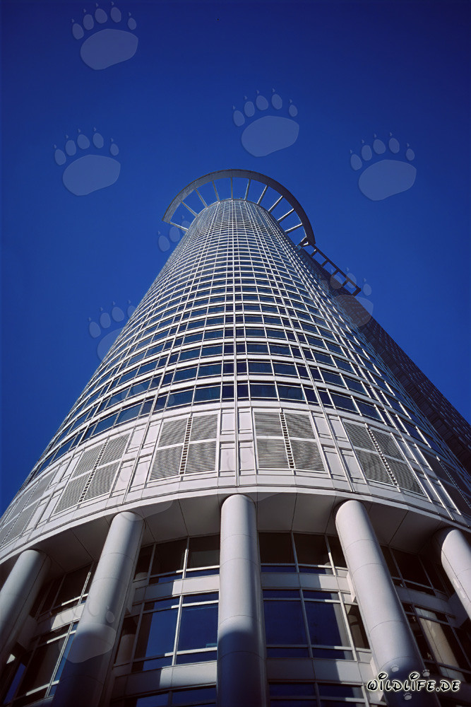 Architectural Masterpiece: The Impressive Skyscraper of DZ-Bank in Frankfurt