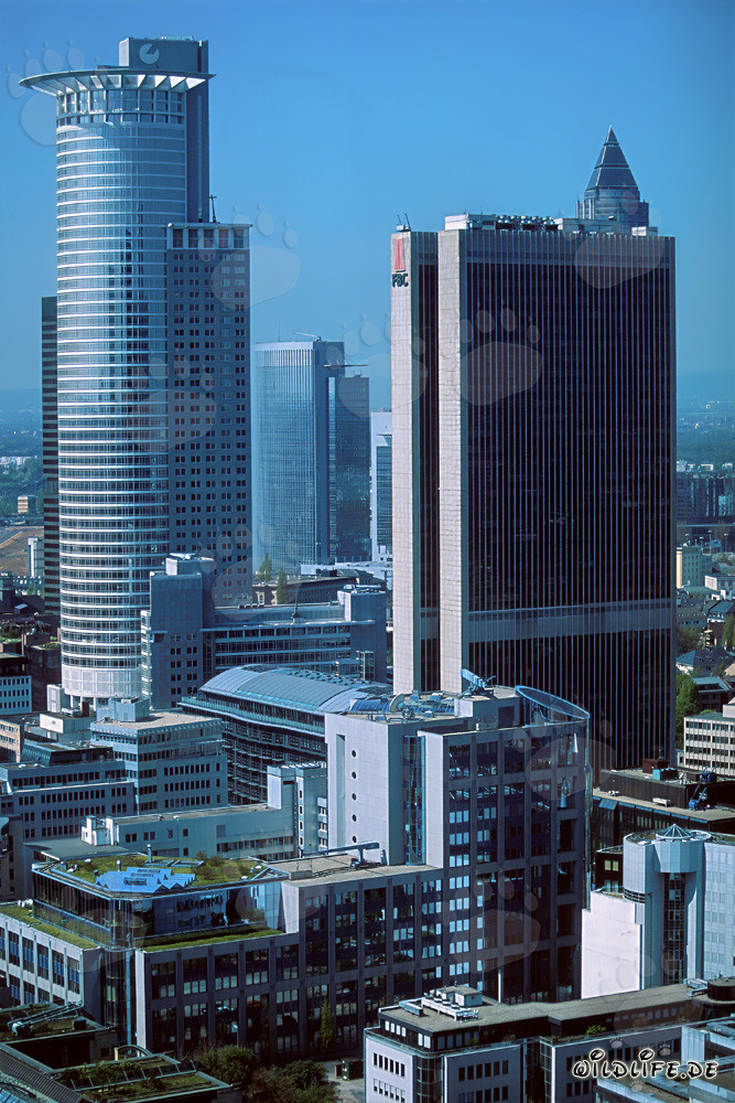 DZ-Bank Skyscraper in Frankfurt - Architectural Landmark of the Financial World