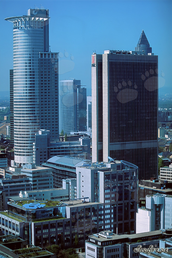 Hochhaus der DZ-Bank in Frankfurt - Architektonisches Wahrzeichen der Finanzwelt