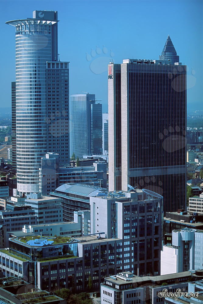 Rascacielos de la DZ-Bank en Frankfurt - Icono arquitectónico del mundo financiero