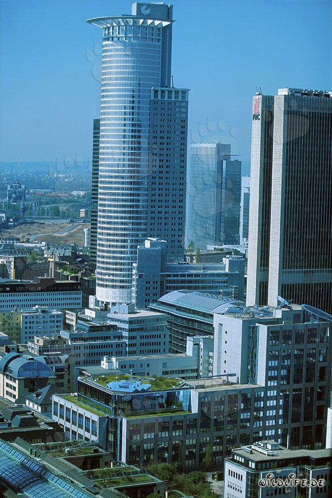 Impresionante rascacielos de la DZ-Bank en Frankfurt