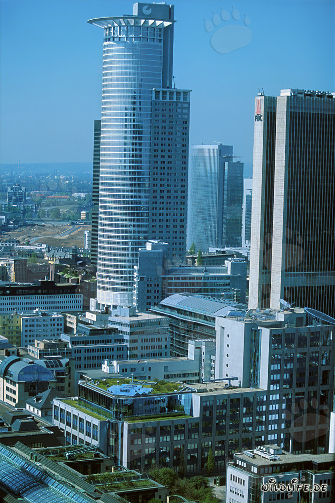 Impressive DZ-Bank skyscraper in Frankfurt