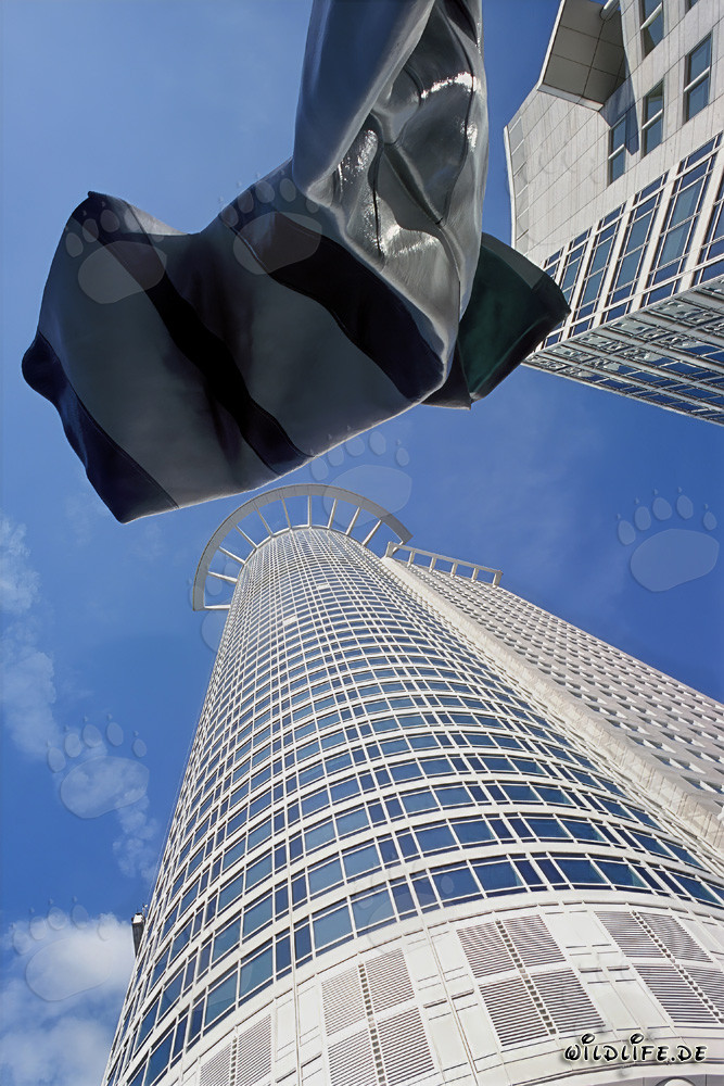 Impressive DZ-Bank Skyscraper in Frankfurt