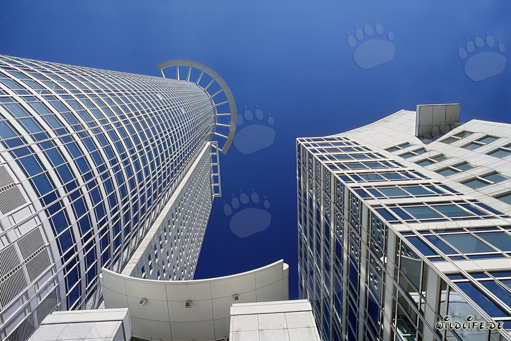 Beeindruckendes Hochhaus der DZ-Bank in Frankfurt am Main