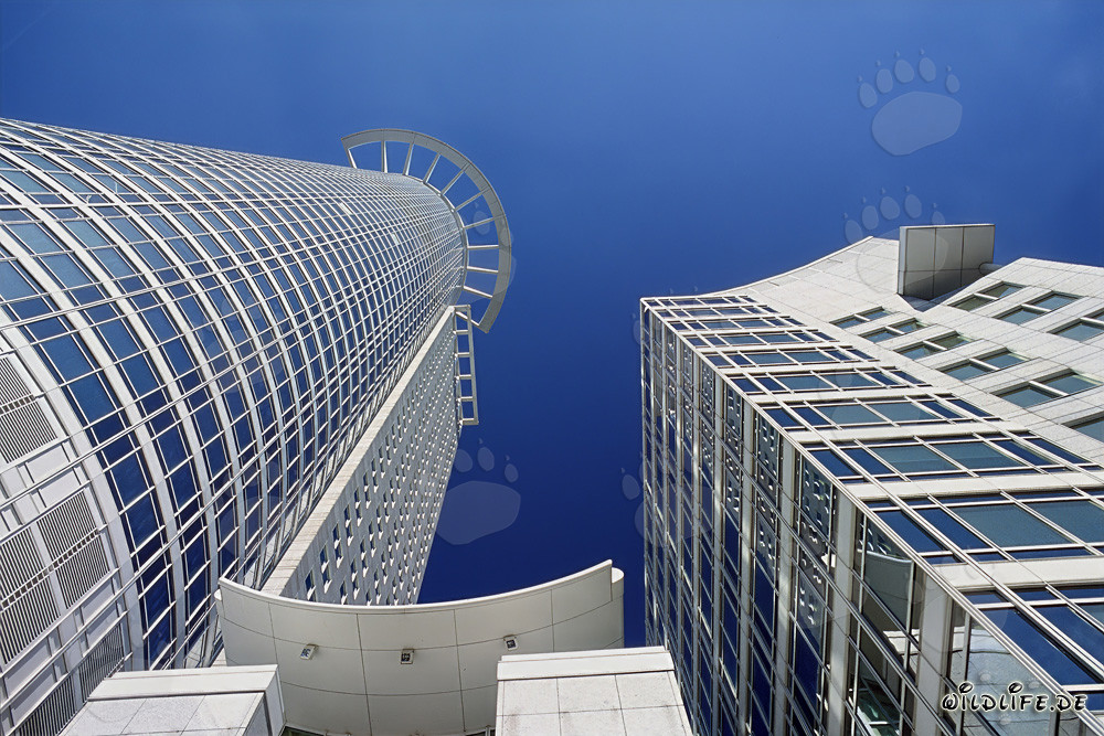 Impressive DZ-Bank Skyscraper in Frankfurt