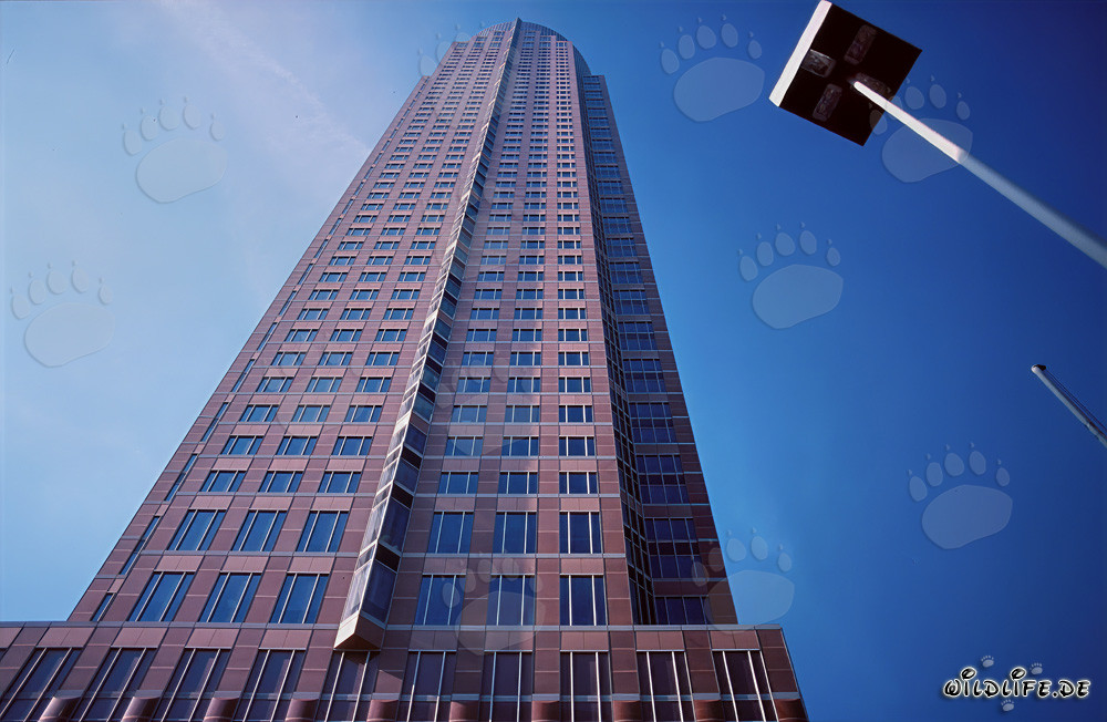 Imposanter Messeturm in Frankfurt am Main