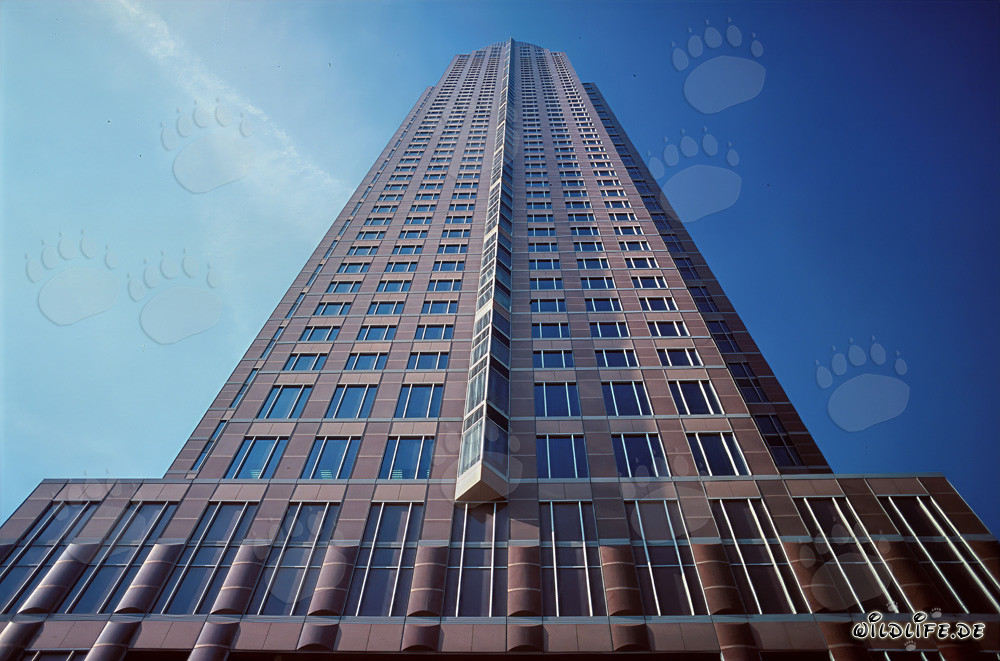 L'imponente Messeturm di Francoforte sul Meno