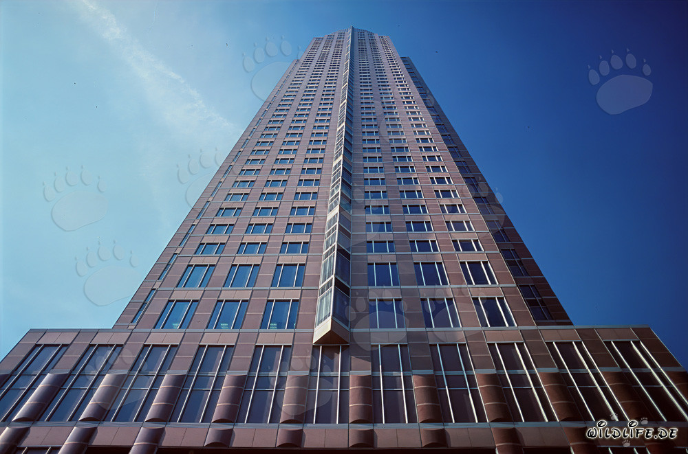 El imponente Messeturm de Frankfurt am Main