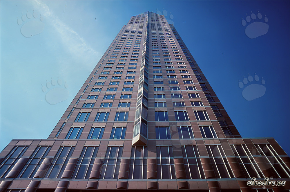 The impressive Trade Fair Tower of Frankfurt