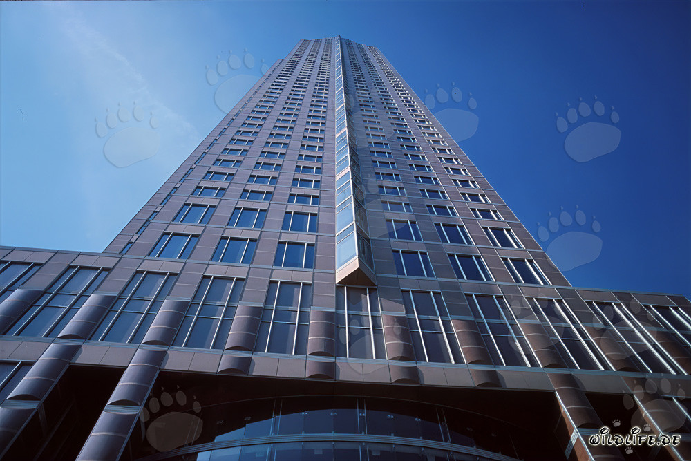 Faszinierender Messeturm Frankfurt im strahlend blauen Himmel