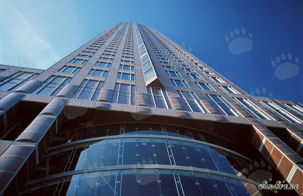 Gratte-ciel Messeturm Frankfurt dans la métropole de l'Main
