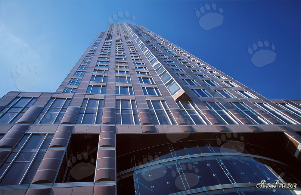 Der imposante Messeturm in Frankfurt am Main