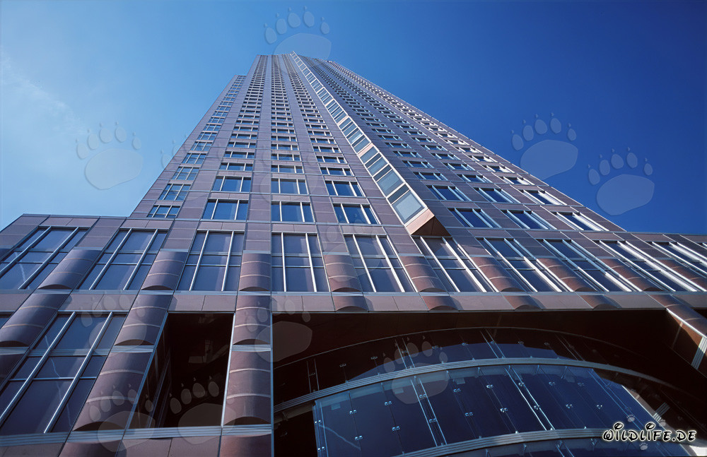 The impressive Trade Fair Tower in Frankfurt
