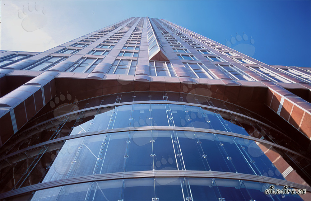 Der imposante Messeturm in Frankfurt - Ein architektonisches Meisterwerk