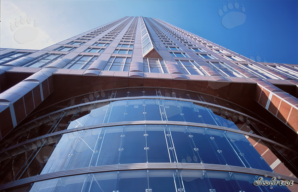 L'imponente torre della fiera a Francoforte - Un capolavoro architettonico