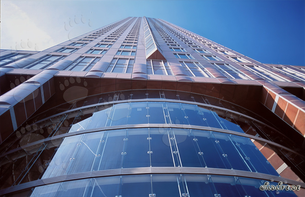 The impressive Trade Fair Tower in Frankfurt - An architectural masterpiece