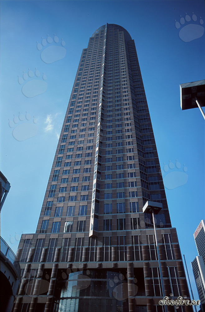 The impressive Fair Tower - A skyscraper in the Westend of Frankfurt