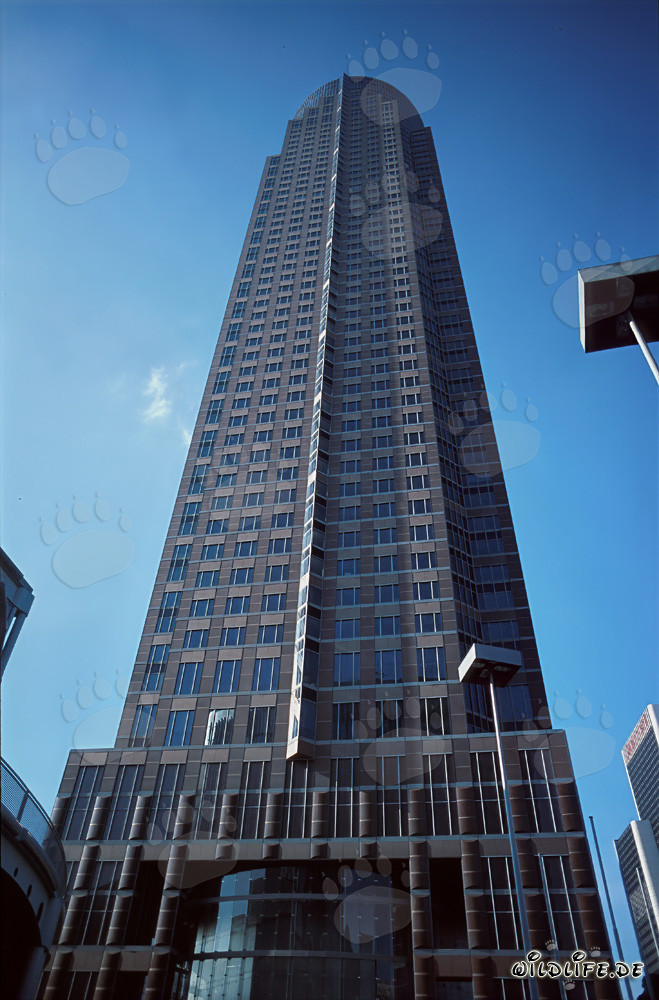 Der imposante Messeturm - Ein Wolkenkratzer im Frankfurter Westend